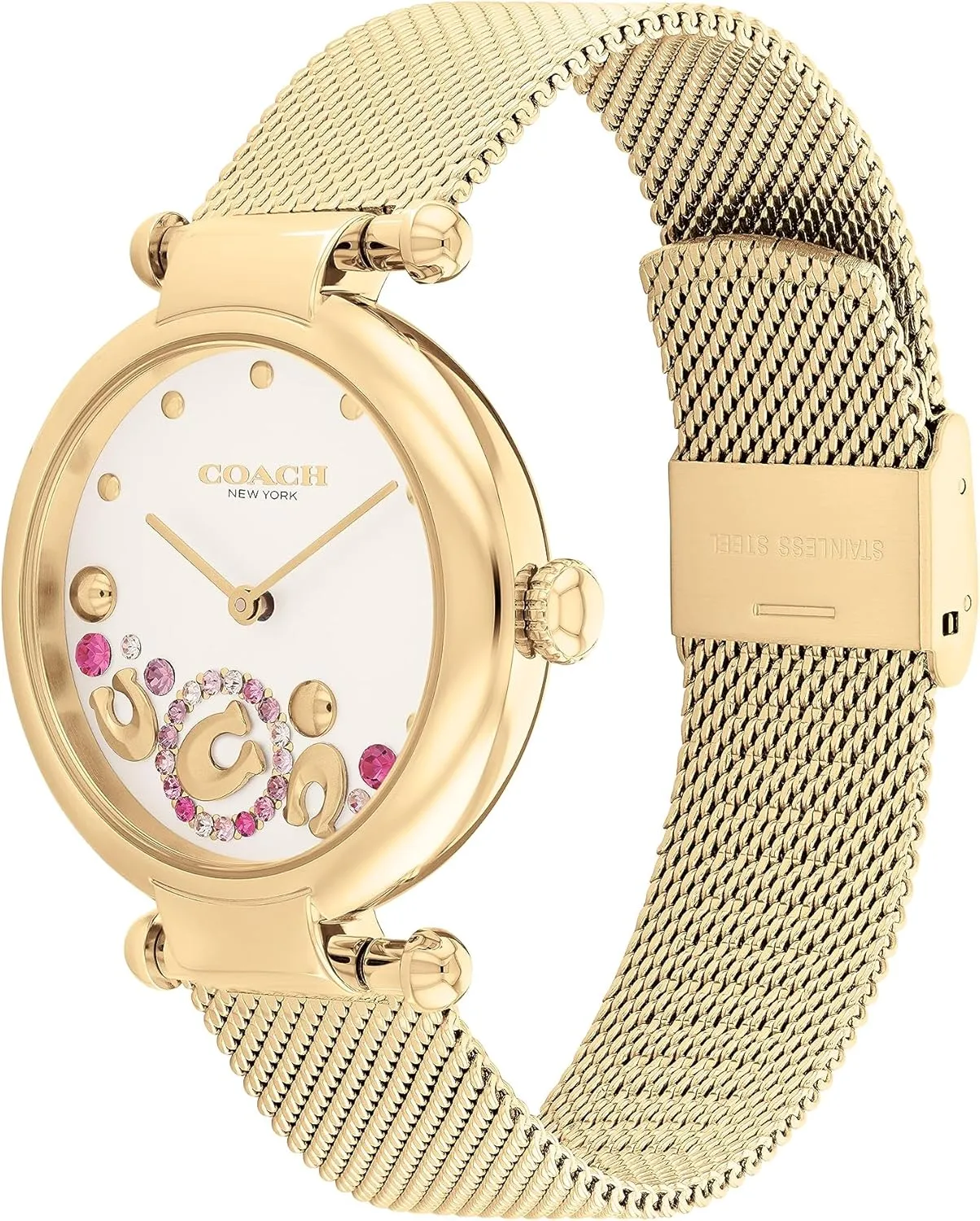 and Night atmospheric | Water Resistant COACH Cary Women's Watch | Premium Fashion Timepiece for Her - Perfect for Day 