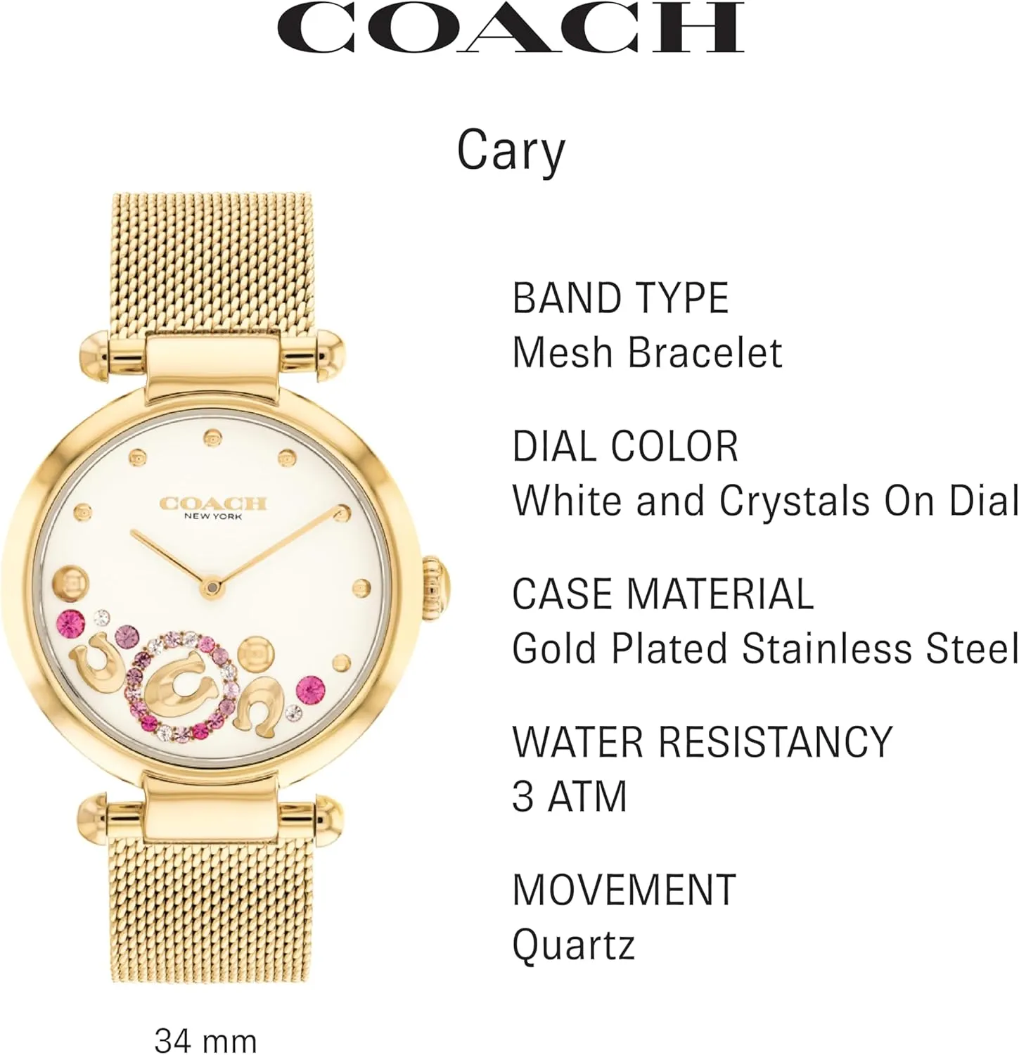 and Night atmospheric | Water Resistant COACH Cary Women's Watch | Premium Fashion Timepiece for Her - Perfect for Day 