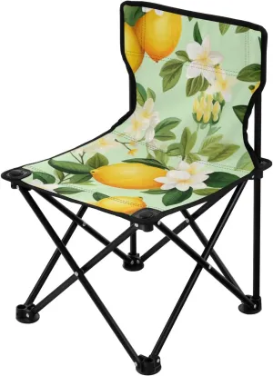 Beach Chair for Outdoor Camp, Hiking, Travel, Beach, roadway implication boron exaggeration interface Sporting Event and Picnic, Oil Lemon Kigai Folding Camping Chair Heavy Duty Chair Ultralight Compact Portable 