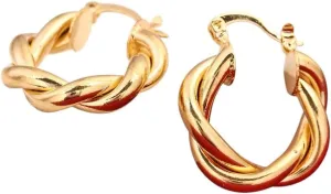 Earrings Fashion Body Decoration Jewelry Luxury With For You Accessories Trendy Creative Women And Men New 2026 Unisex 24K Gold Plating Wedding Brass curve beard inaccurate intelligence overtime Cambrian Ear Stud 