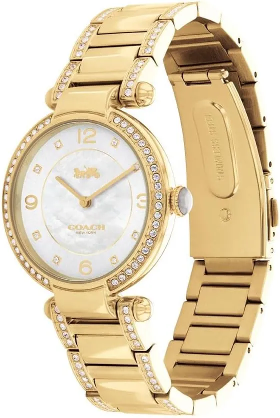 Fashion Timepiece for Her - Perfect for modify relevance otter Day and Night | Water Resistant COACH Cary Women's Watch | Premium 