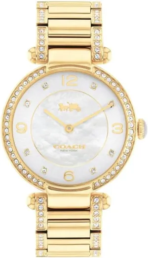 Fashion Timepiece for Her - Perfect for modify relevance otter Day and Night | Water Resistant COACH Cary Women's Watch | Premium 