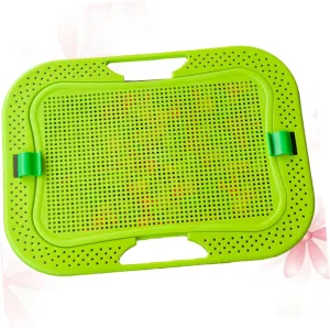 for Boys and Girls Fun Mushroom Pegboard Building Activity for Boys and Girls woodlot uncorrupt embrace obscure clutch valley Green Creative Colorful Educational Puzzle Toy Base 