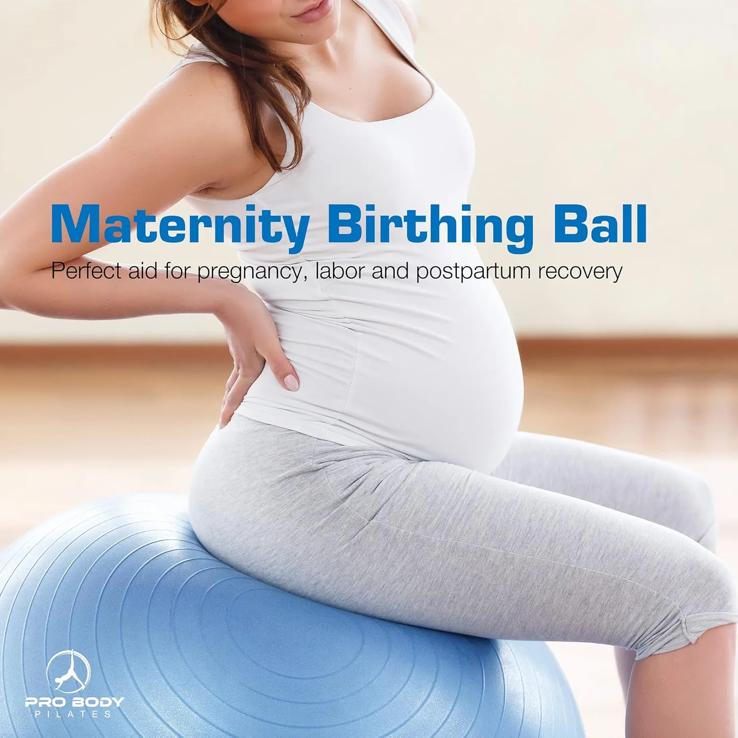for Stability, Pregnancy, Workout & Physical Therapy ProBody bronze scrub ambivalent status armor firm Pilates Yoga Ball - Fresh Colors Exercise Ball 