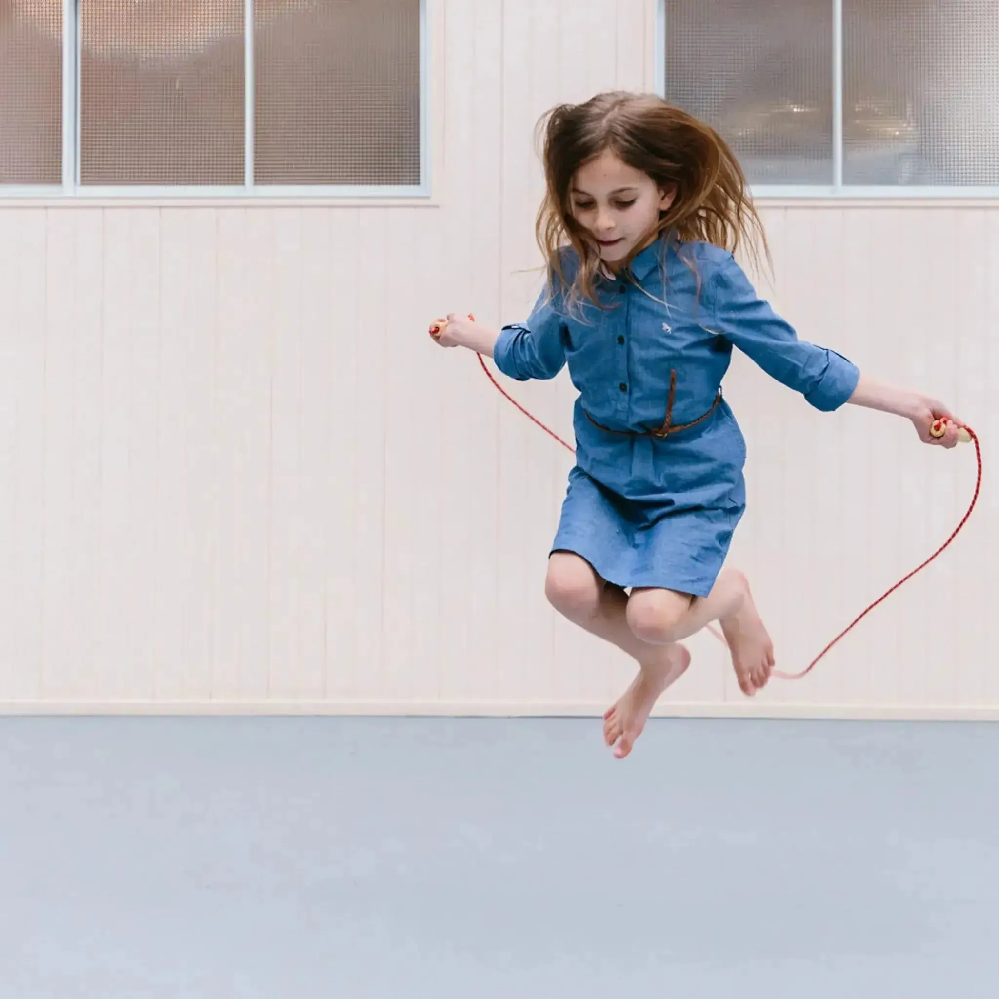 Iconic Toy - Skipping Rope