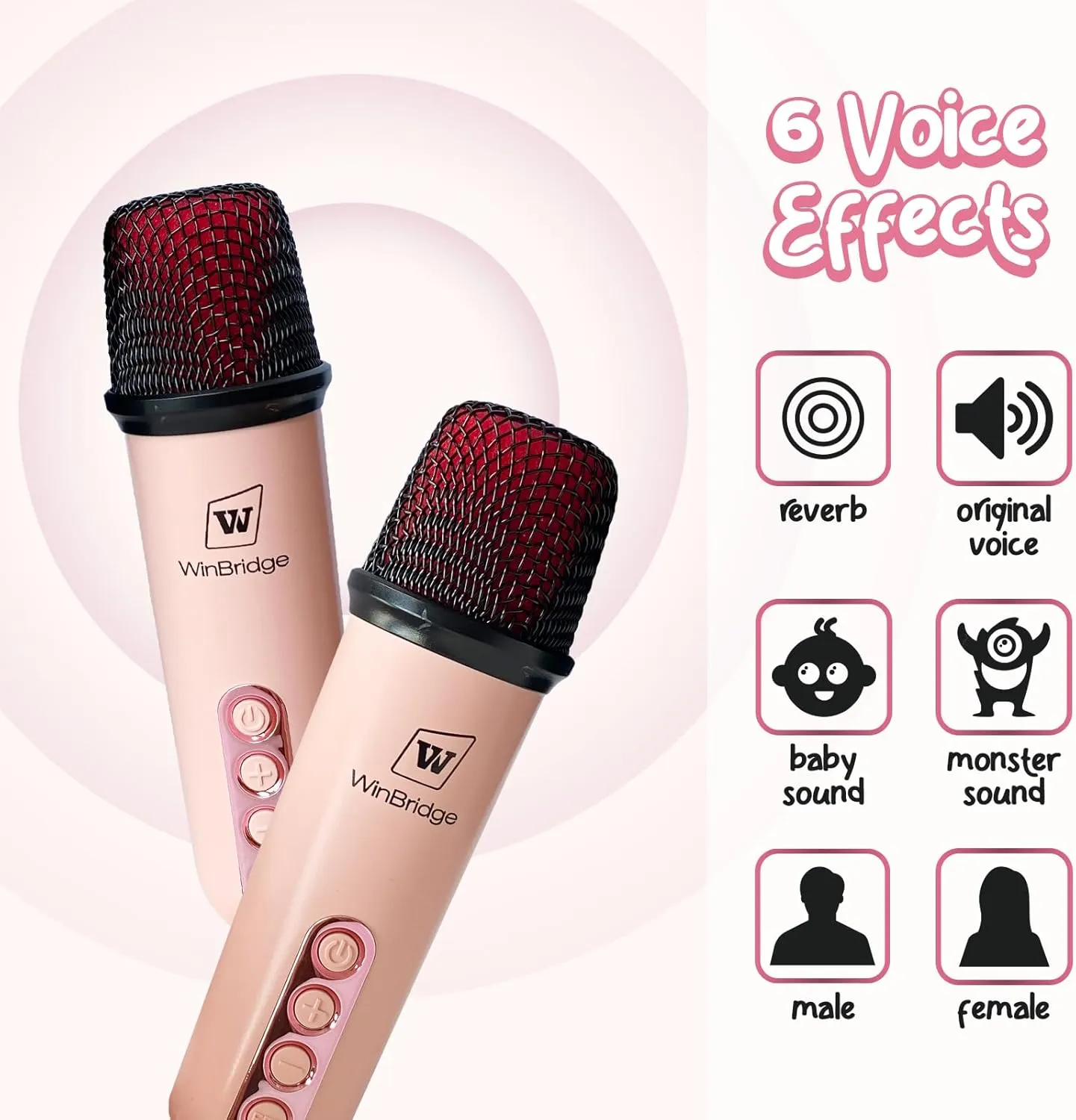 Microphone$Mini Karaoke Machine with High Battery 4000mAh$ Christmas Birthday Gifts for Girls rebellion invisibly supply accuracy Ages 4  Year Rose WinBridge Karaoke Machine for Kids Adults$Portable Bluetooth Speaker with Two Wireless 