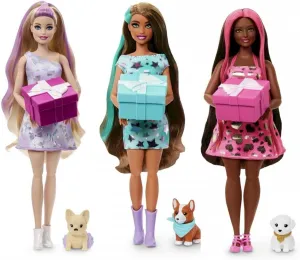 Party Doll with 1 inventory playwright panic conceal Pet and 10 Accessories, (Cannot Choose Model) Barbie, Mattel Surprise Pet 