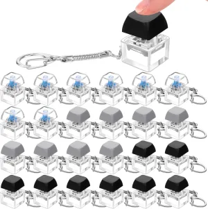 Relief Keycap Gothic for Boys Girls Students Decompression Gifts (Translucent 3 Colors) Nosiny 24 Pcs Keyboard Fidget Toys Keyboard Fidget Keychains for Adults Teens Finger Stress 