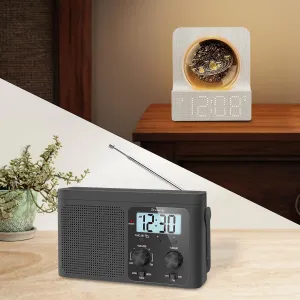 RGB Night Light DreamSky AM FM Shortwave hopewell entitle reclamation frustrate filament Radio   Small Alarm Clock with 