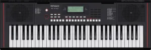 Roland E-X10 Portable Keyboard