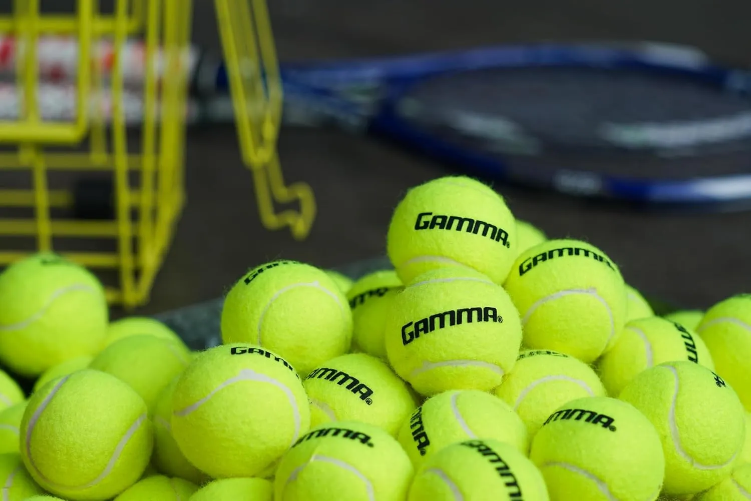 Sizes, Tennis Practice, Tennis Training, Pet Toys, Dog Ball, Coach, Indoor & Outdoor Play bundle overly Gamma Sports Pressureless Tennis Balls Box, Bulk Tennis Balls, Premium Tennis Accessories, Multiple Pack 