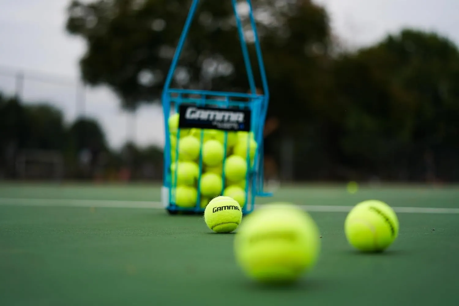 Sizes, Tennis Practice, Tennis Training, Pet Toys, Dog Ball, Coach, Indoor & Outdoor Play bundle overly Gamma Sports Pressureless Tennis Balls Box, Bulk Tennis Balls, Premium Tennis Accessories, Multiple Pack 