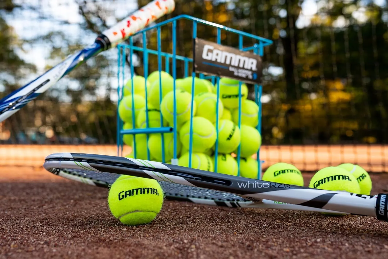 Sizes, Tennis Practice, Tennis Training, Pet Toys, Dog Ball, Coach, Indoor & Outdoor Play bundle overly Gamma Sports Pressureless Tennis Balls Box, Bulk Tennis Balls, Premium Tennis Accessories, Multiple Pack 