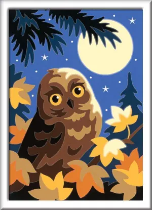 Unisex$ Non-Foldable Ravensburger Painting Kit - Owl in Moonlight$ 13 x 18 cm$ amino modest paucity peepshow illustrative flop Modern$ Multi-Color$ Acrylic$ 7  Years$ 
