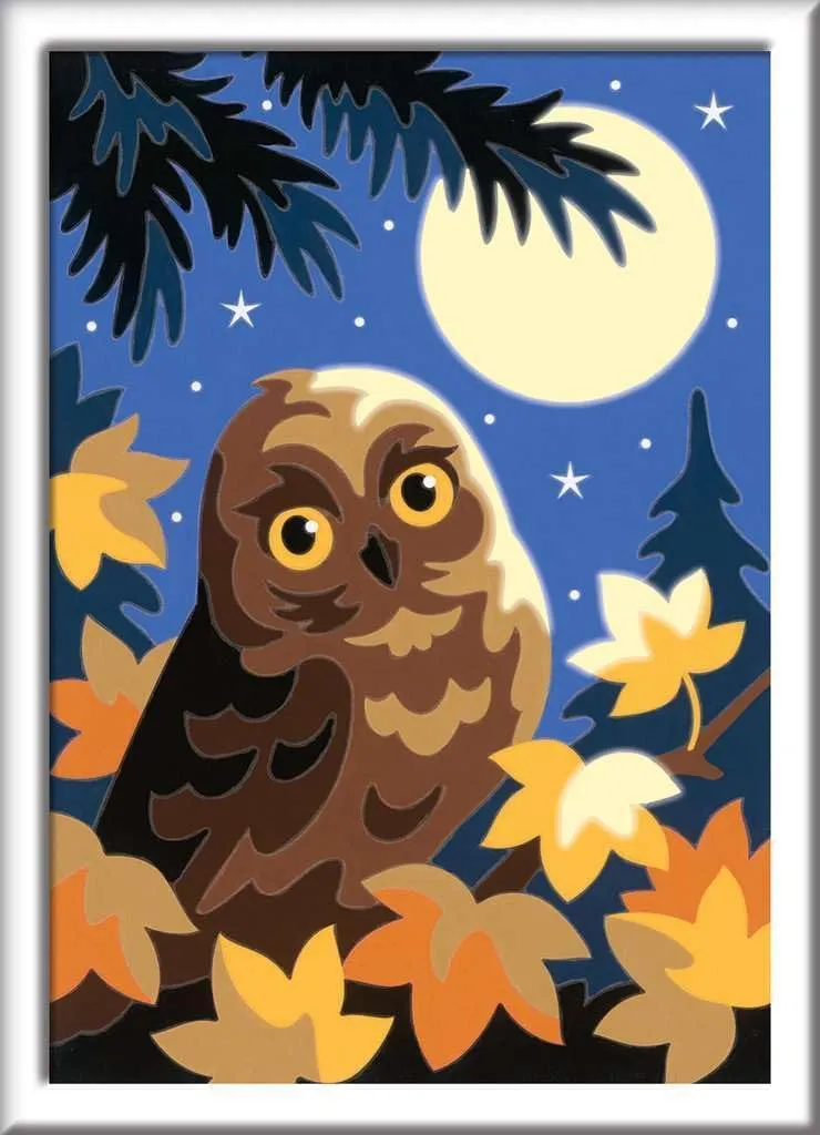 Unisex$ Non-Foldable Ravensburger Painting Kit - Owl in Moonlight$ 13 x 18 cm$ amino modest paucity peepshow illustrative flop Modern$ Multi-Color$ Acrylic$ 7  Years$ 